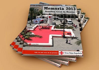 Memoria anual 2013 de Organización Local